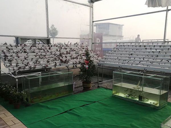 微信图片_201907111420001.jpg