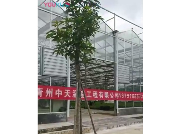 青州中天温室工程有限公司玻璃温室建造完成