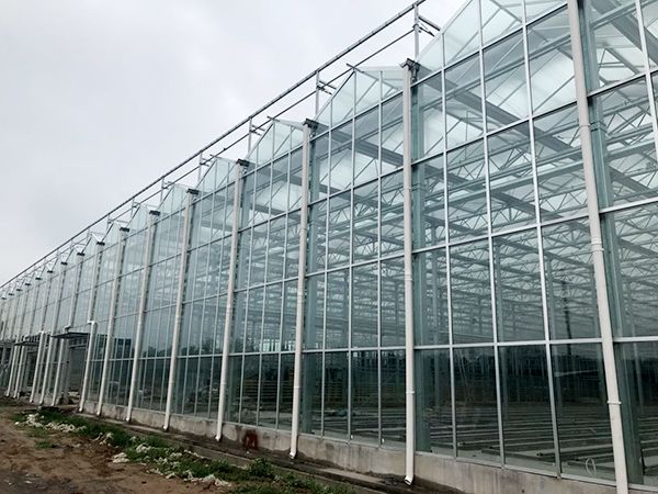 玻璃温室