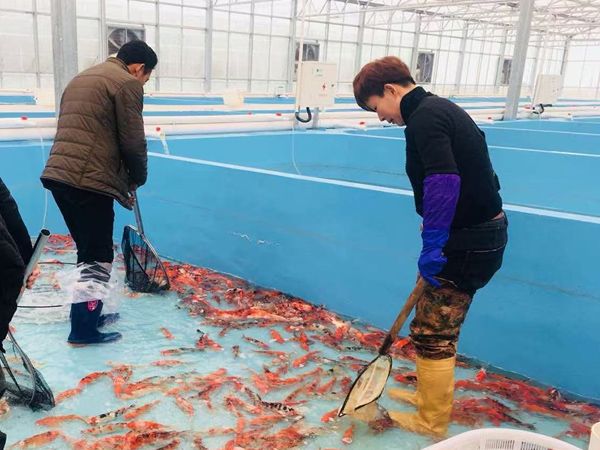 智能温室